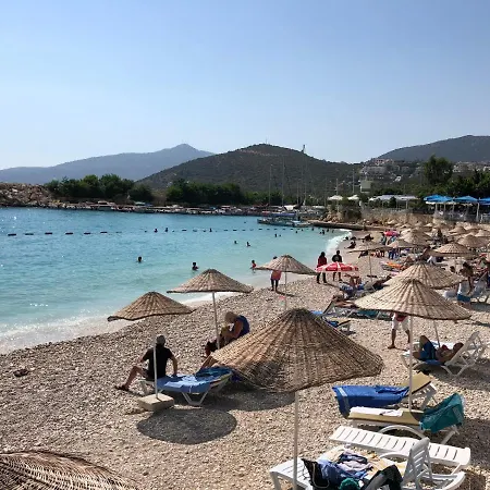 Apartment Stone House Aparts 1 1 Mit Poolterrasse Kalkan No 1