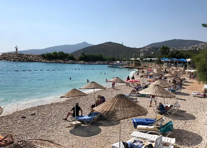 Apartment Stone House Aparts 1 1 Mit Poolterrasse Kalkan No 1